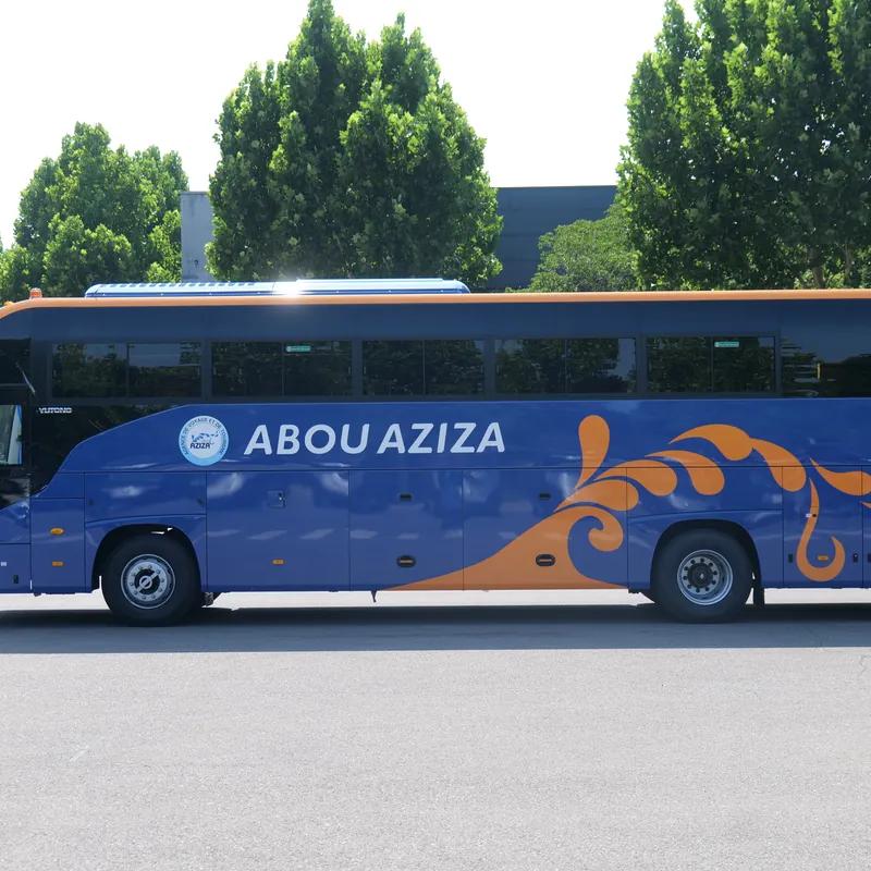 La livrée ABOU AZIZA, de profil